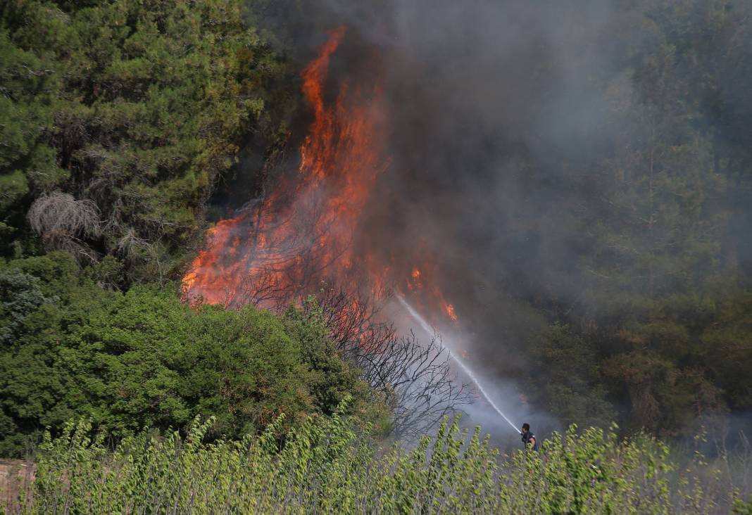 Çanakkale'deki Tarihi Alan'ın güney hattı ziyarete açıldı! Orman yangınında kapatılmıştı - Resim: 62